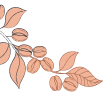 vector image